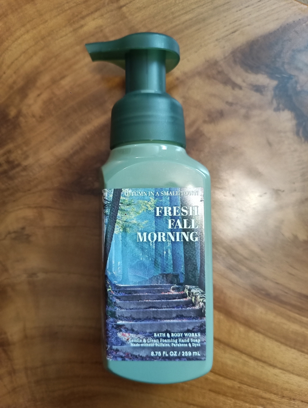 Bath & Body Works Fresh Fall Morning Foaming Hand Soap